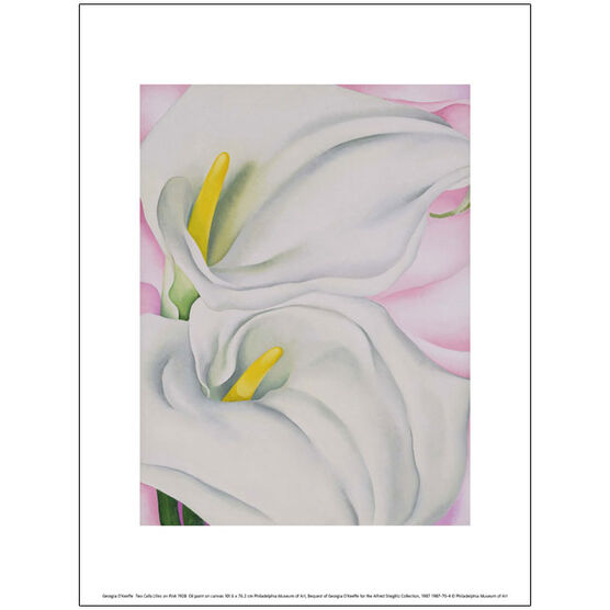 Georgia O'Keeffe Two Calla Lilies on Pink (exhibition print)