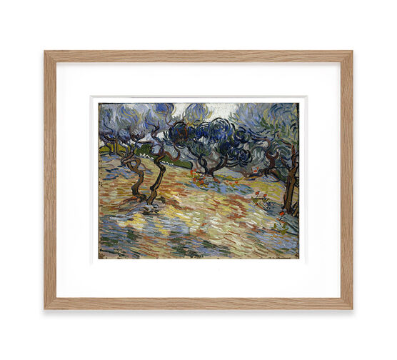 Vincent van Gogh: Olive Trees framed print