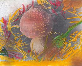 Polke: Untitled (Mushroom)