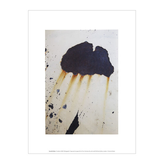 Cornelia Parker Cloud Burst art print