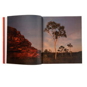 Emily Kam Kngwarray exhibition book (paperback)