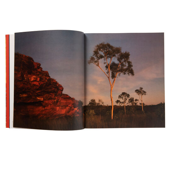 Emily Kam Kngwarray exhibition book (paperback)