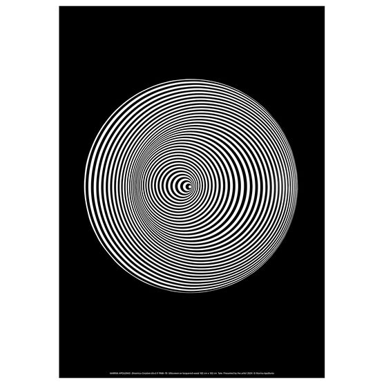 Marina Apollonio Dinamica Circolaire poster