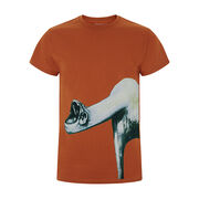 Francis Bacon triptych t-shirt