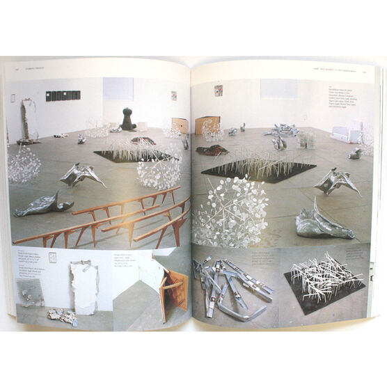 Gabriel Orozco (modern artist series)