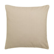 William Blake Newton cushion cover