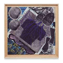 Zohra Opoku The ba of my body is my ba..., 2023 framed