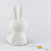Large Miffy lamp