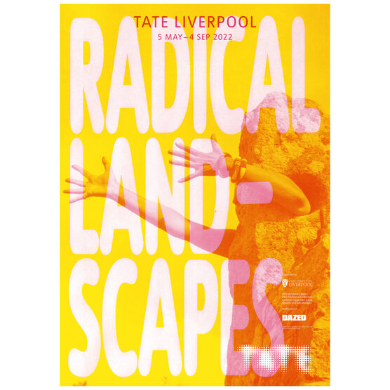 Radical Landscapes exhibition poster