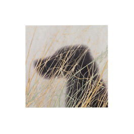 Ed Ruscha Dog greetings card