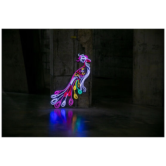 Chila Kumari Singh Burman Peacock neon light