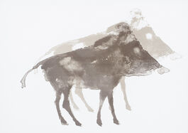 Elisabeth Frink: Boar