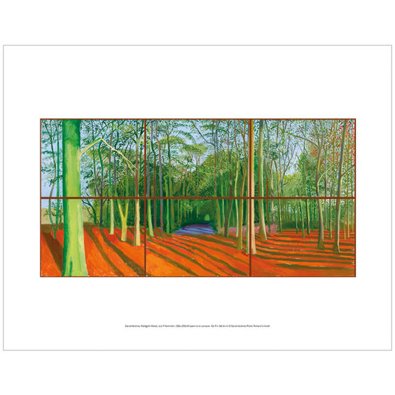 Hockney Woldgate Woods, 6 & 9 November 2006 (mini print)