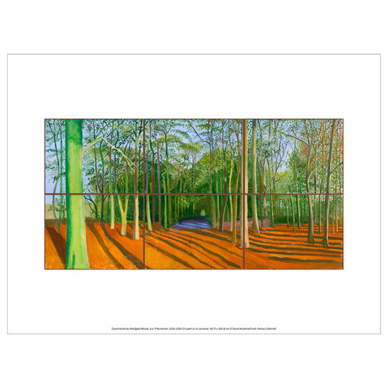 David Hockney Woldgate Woods, 6 & 9 November 2006 (exhibition print)