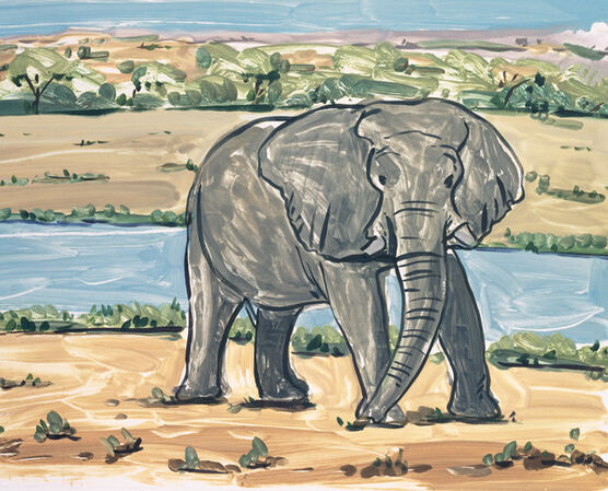 Lisa Milroy: Elephant