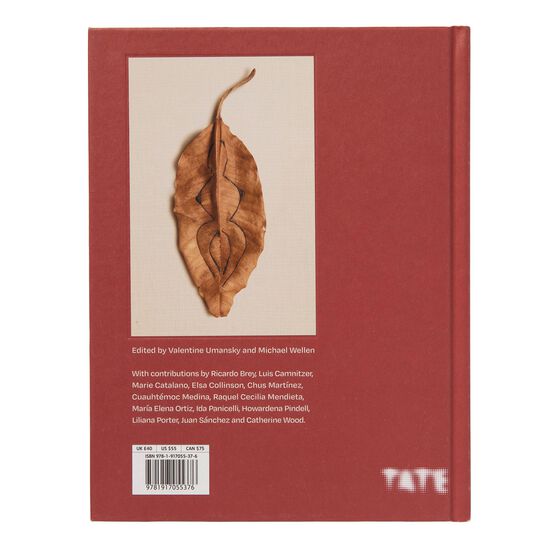 Ana Mendieta exhibition book
