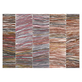 Emily Kam Kngwarray Untitled (Awely) shelf print
