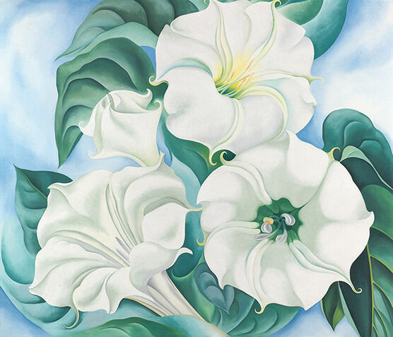 Georgia O'Keeffe: Jimson Weed