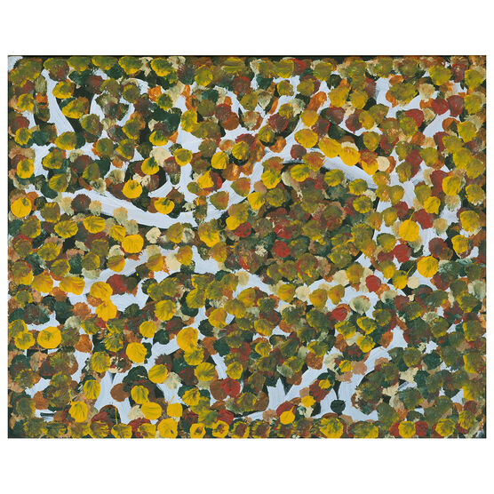 Judy Kngwarray Greenie, Atnwelarr, 65-25 original painting