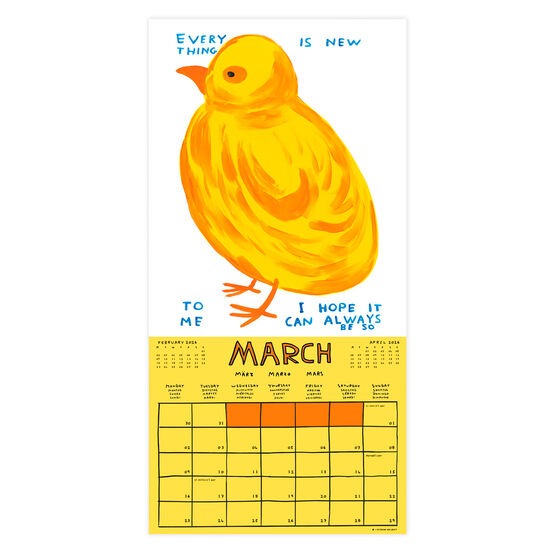 David Shrigley 2026 wall calendar
