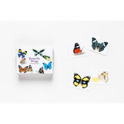 Butterfly Wings card game