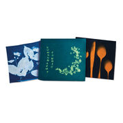 Sunography cyanotype fabric kit