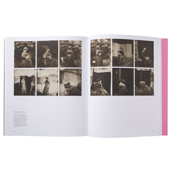 The Rossettis exhibition book (paperback)