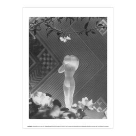 Luo Bonian Drawing Water from a Well art print