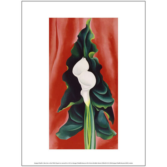 Georgia O'Keeffe Calla Lilies on Red (exhibition print)