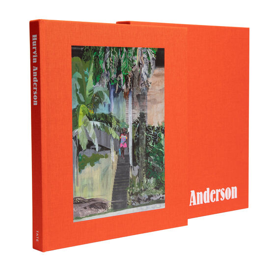 Hurvin Anderson limited edition book