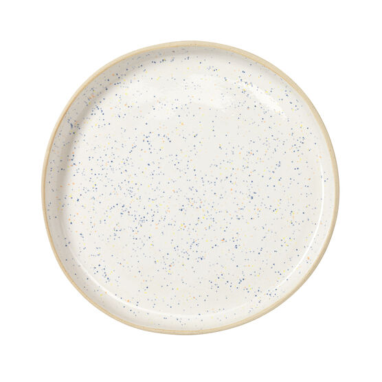 Large Plate Speckled - Riv & Read