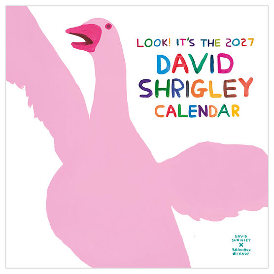 David Shrigley 2027 Calendar