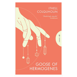 Goose of Hermogenes