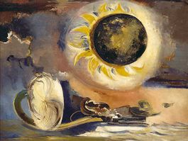 Nash: Eclipse of the Sunflower