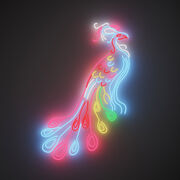 Chila Kumari Singh Burman Peacock neon light