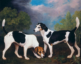 George Stubbs: Couple of Foxhounds