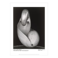 Edward Weston Shells poster