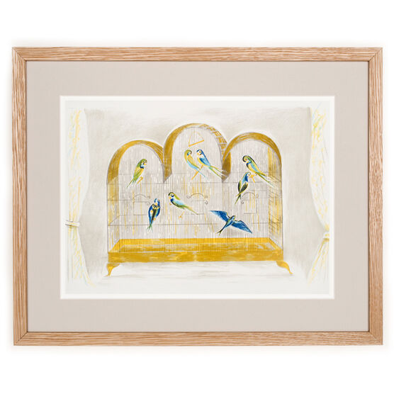 Marx Budgerigars (framed print)