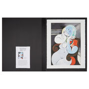 Pablo Picasso: Nude Woman in a Red Armchair folio