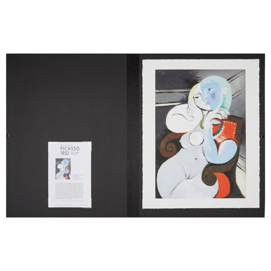 Pablo Picasso: Nude Woman in a Red Armchair folio