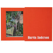 Hurvin Anderson limited edition book