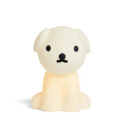 Snuffy lamp