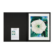 Georgia O'Keeffe Jimson Weed, White Flower No.1 (Folio)