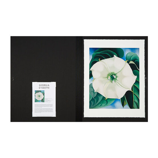 Georgia O'Keeffe Jimson Weed, White Flower No.1 (Folio)