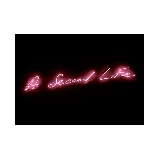 Tracey Emin A Second Life neon shelf print