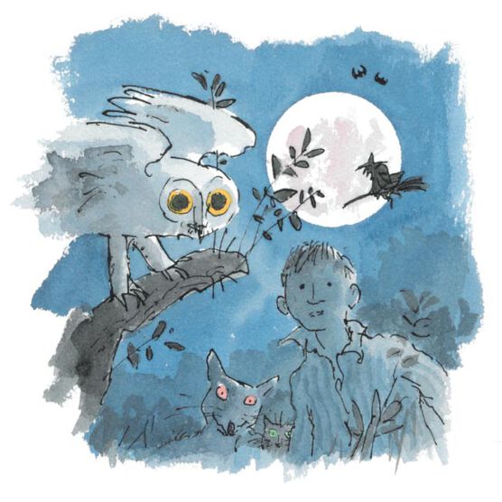 Beyond the Page (paperback)