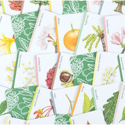 Tree Families card game