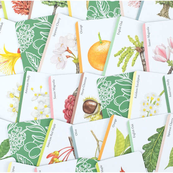 Tree Families card game