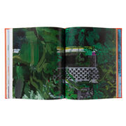 Hurvin Anderson limited edition book
