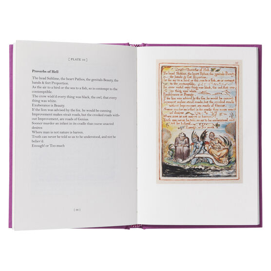 The Marriage of Heaven and Hell (slipcase edition)